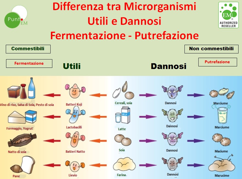 Facciamo lavorare i Microrganismi Utili