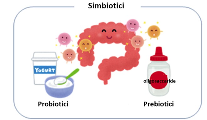 Prebiotici e Probiotici