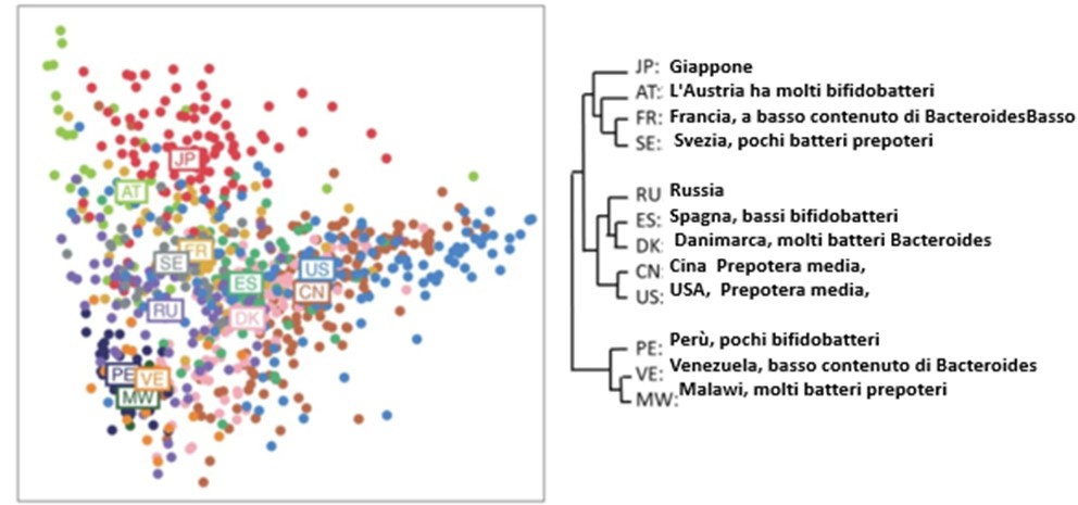 Analisi del genoma del microbiota intestinale