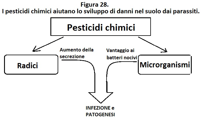 I batteri patogeni e il loro nutrimento