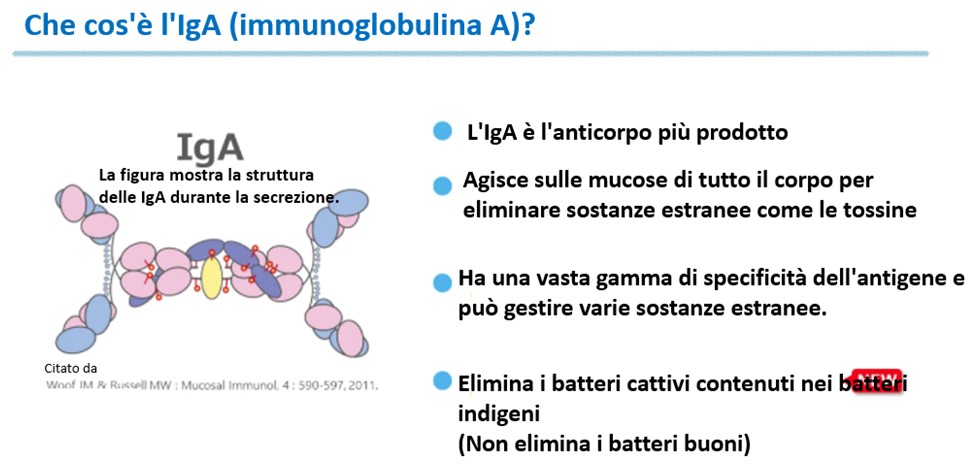 Immunità e Flora Intestinale