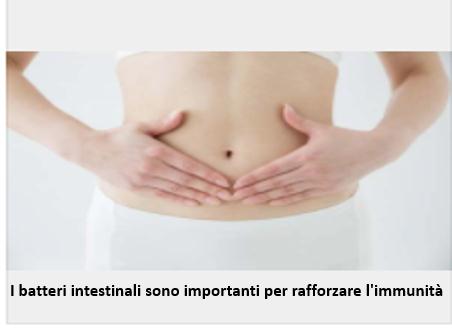 Dr. S. Homma: batteri intestinali e immunità.