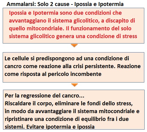 Traduzione Dr Abo: due cause per ammalarsi