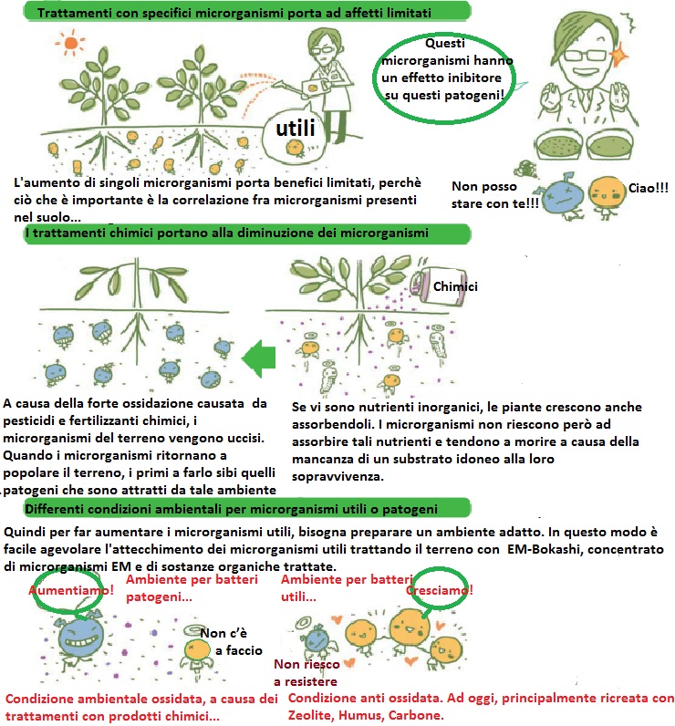 L'utilizzo della flora microbica, seguendo il principio dell'ecosistema naturale