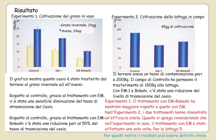 Radioattività