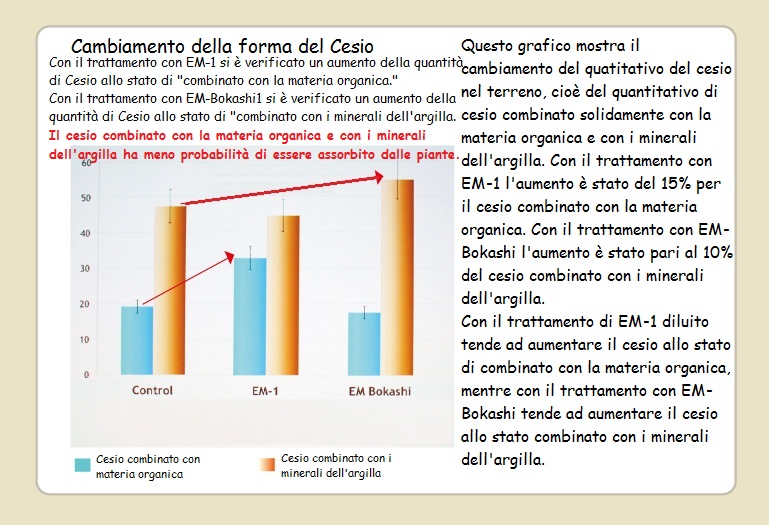 Radioattività