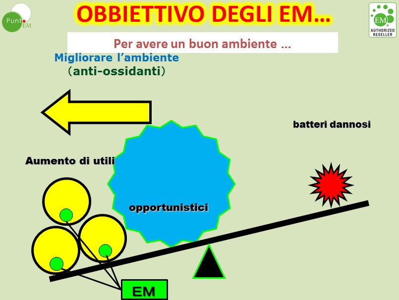 Facciamo lavorare i Microrganismi Utili