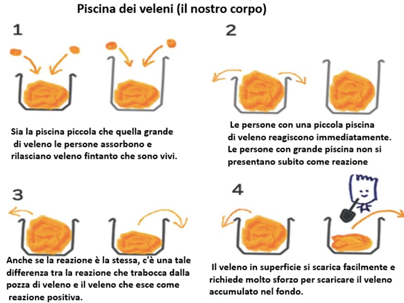 Accumulo di Veleni nel Corpo